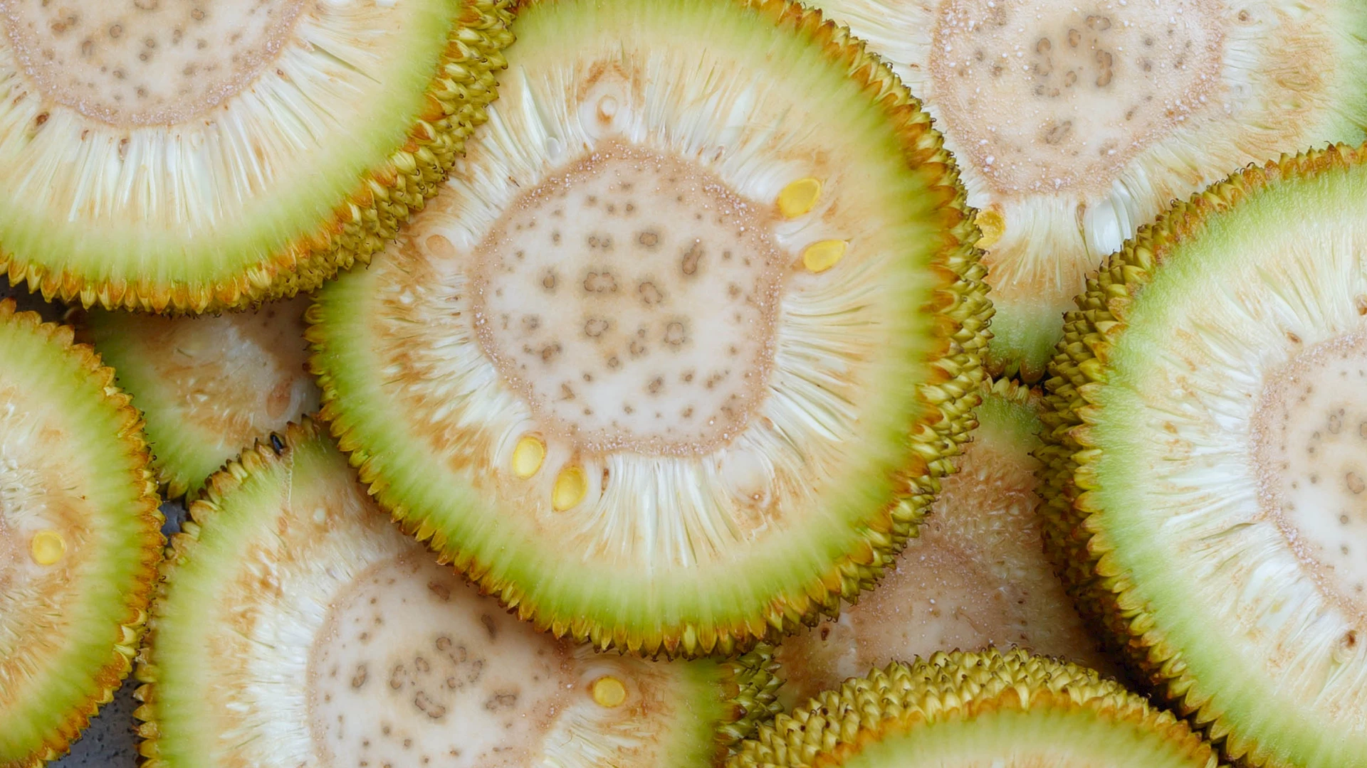 geschälte Jackfrucht geschälte Jackfrucht