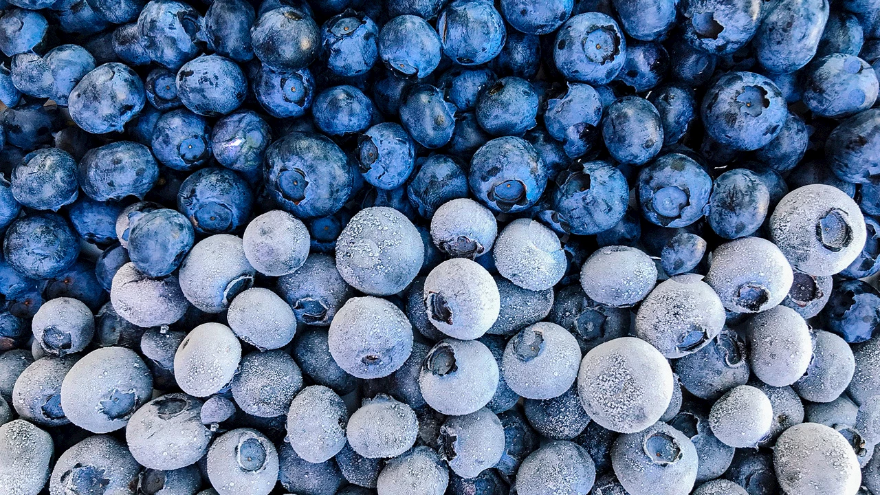 Blaubeeren